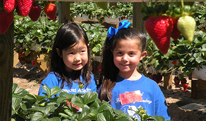 Enrichment Activities for students including field trip to strawberry patch