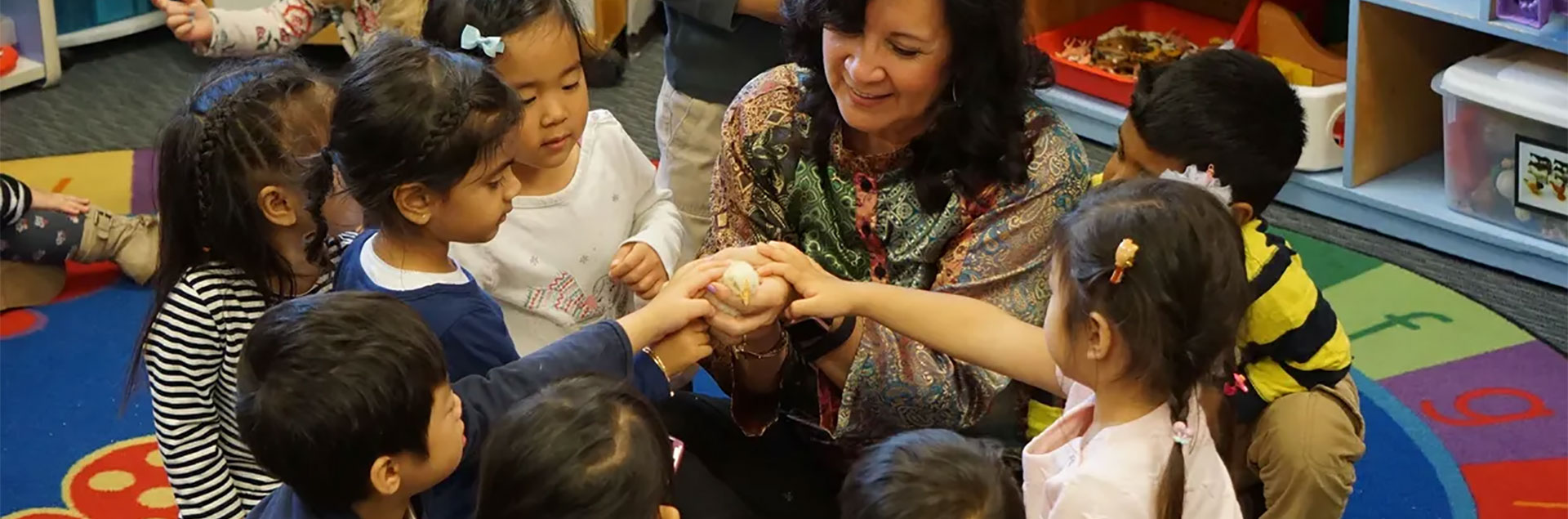 Teacher showing preschoolers a baby chick