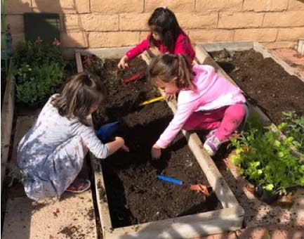 Kids working in school garden